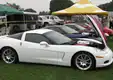 <a href='/bildegalleri/turer/corvettes at carlisle 2009/img_0116.jpg' download>Download image</a>